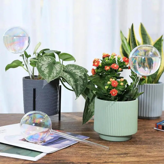 Nestify™ Rainbow Gradient Glass Self-Watering Plant Bulbs | Automatic Slow-Release Watering Globes | Decorative Indoor Plant